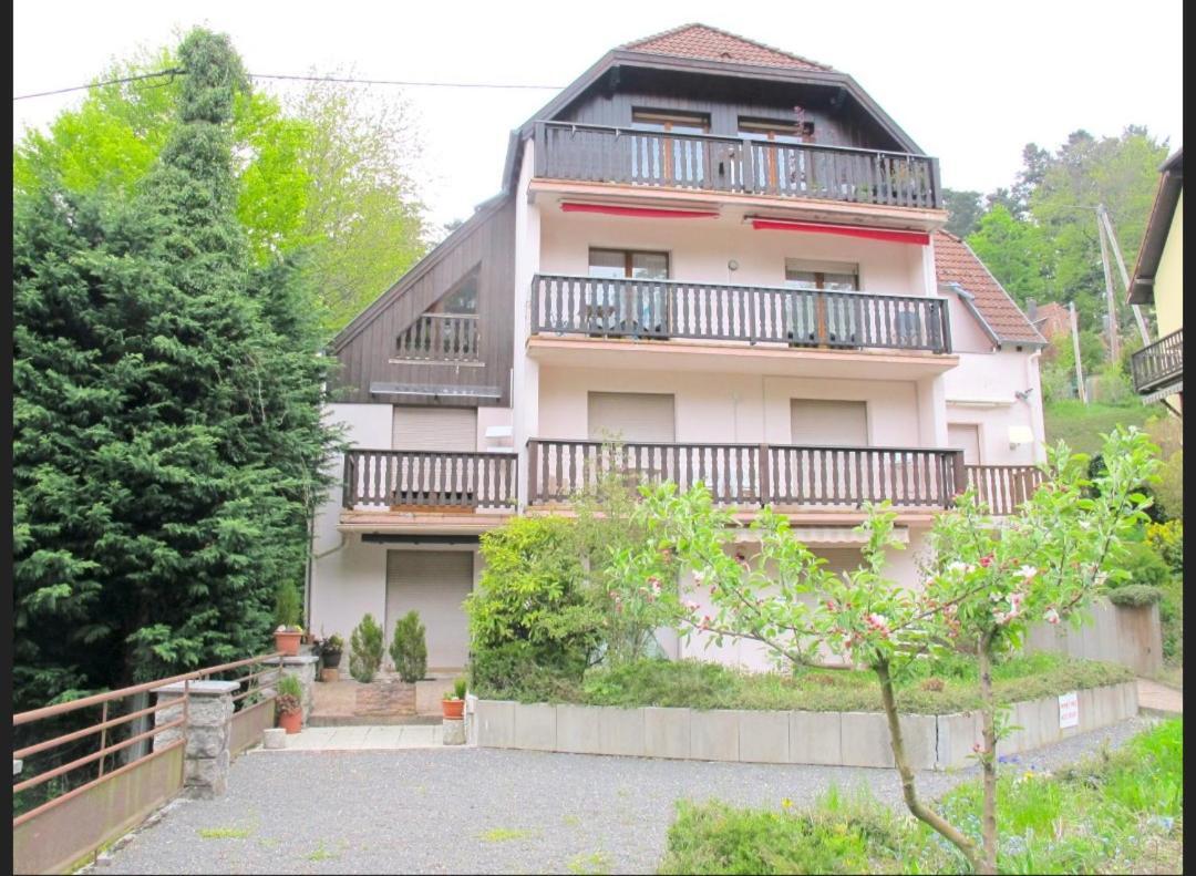 Studio Le Manet Apartamento Hohwald Exterior foto