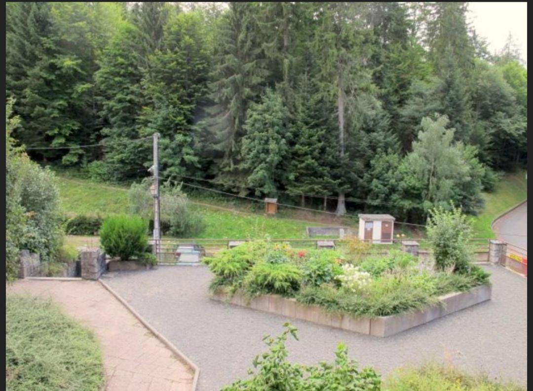Studio Le Manet Apartamento Hohwald Exterior foto